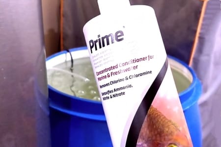 can too much water conditioner kill fish