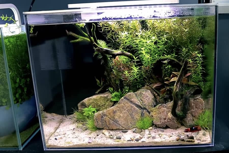 how to remove scratches from aquarium glass