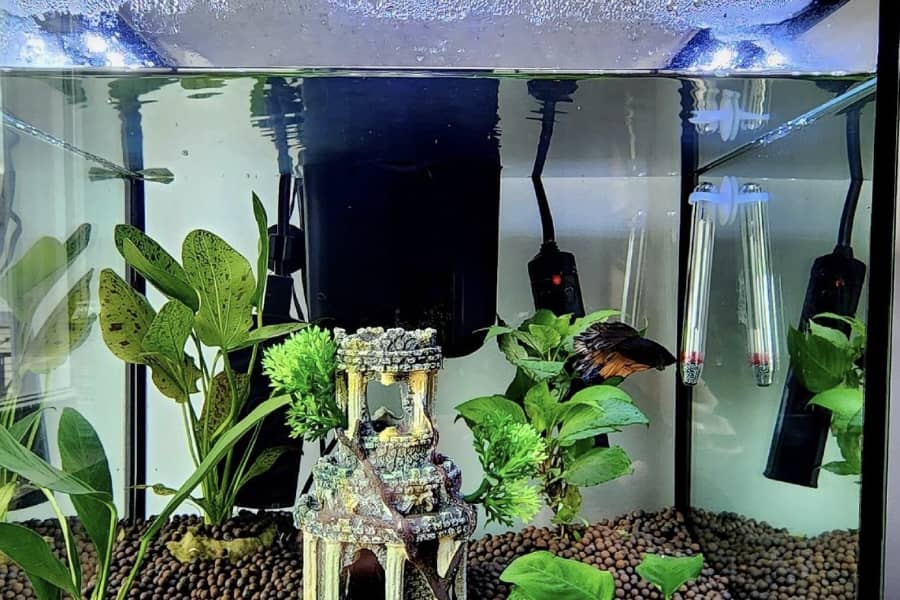 should a fish tank filter be on all the time