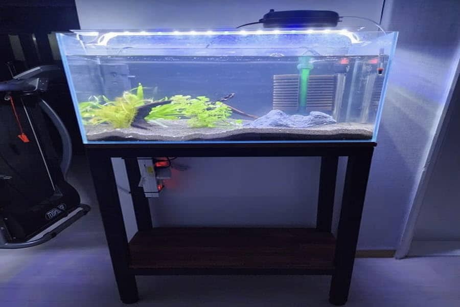 do you need a stand for a 55 gallon fish tank 